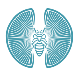 Dina Lab logo